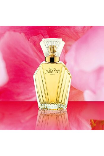 Coty Coty L'Aimant EDT 50 ml Kadın Parfüm