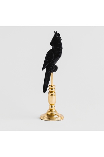 HomeVibes Figurină decorativă - Papagal Parottis Negru