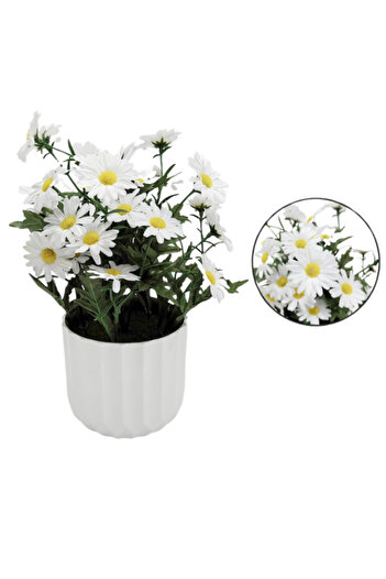 Generic 25 cm white board vegetables in a container