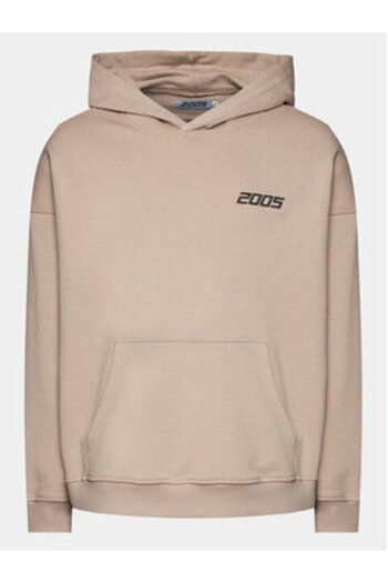 2005 Unisex Basic Hoodie Beige