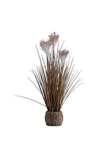 HomeVibes Floare decorativa miscantillow