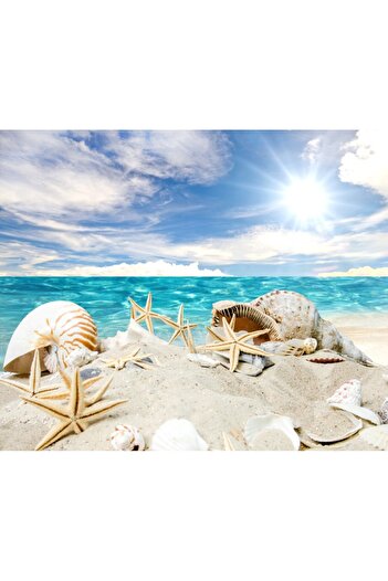 media Photo wallpaper Beach with stars2, 250 x 200 cm