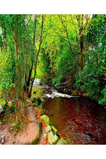 media Self-adhesive and washable wall mural River in the green forest, 135 x 225 cm