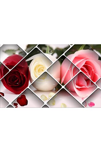 media Photo wallpaper Red, white and pink roses, 400 x 250 cm