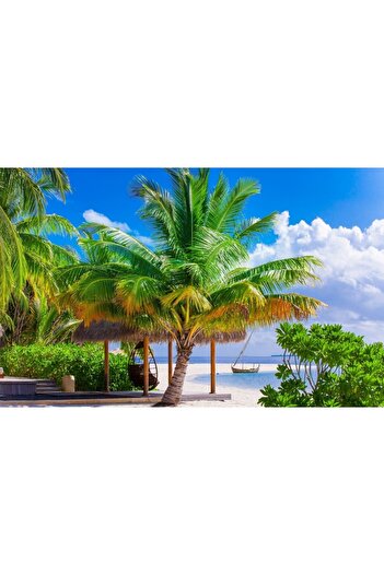 media Photo wallpaper Summer beach vacation, 400 x 250 cm