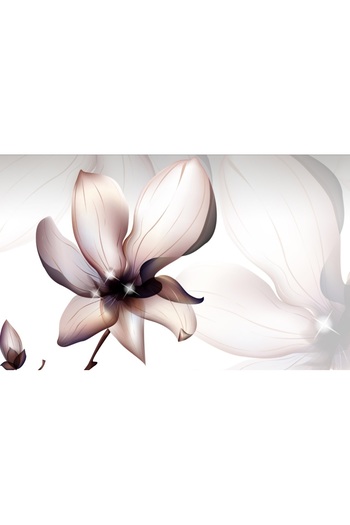 media Photo wallpaper Magnolia flower, 250 x 200 cm