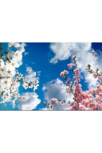 media Self-adhesive and washable wall mural Spring Trees, 270 x 200 cm