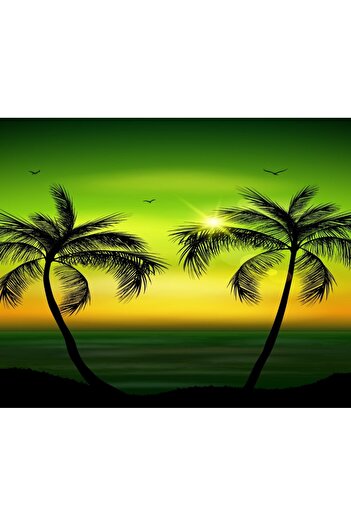 media Wallpaper Palm trees7, 300 x 250 cm