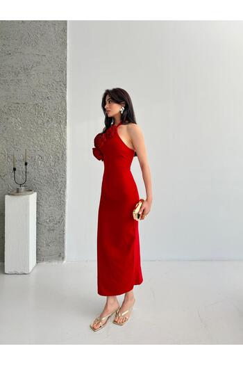 Serica Moda Red Rose Detailed Tie-Up Dress