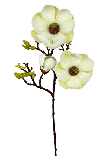 Nettenevime Τεχνητό λουλούδι Κρέμα Eva Magnolia 2 Λουλούδια 1 Μπουμπούκι Μακρύ κλαδί Λουλούδια 55cm Πραγματική Υφή