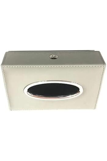 Generic Rear Seat Tissue Holder for Car