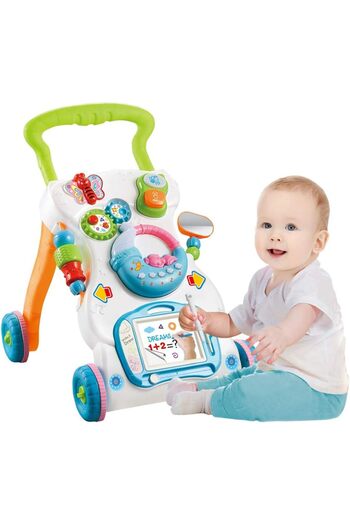 rexa Baby Walker 3 in 1 First Steps Push Along Bouncer Activity Music Toy