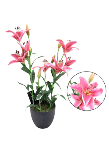 Generic 57cm Vegetables Dark Pink Rose with Black Pot