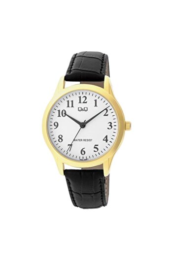 Q&Q Men's watch, Q&amp;Q by Citizen, Classic C02A-008PY