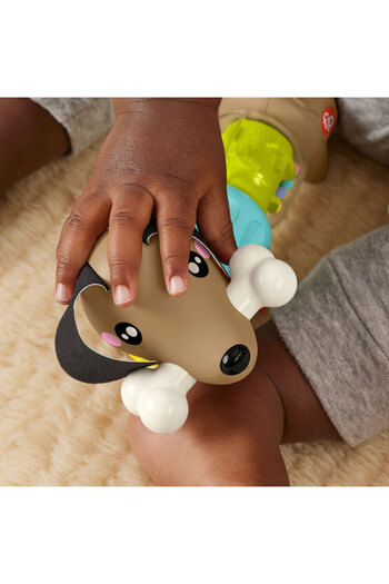 FISHER PRICE Fun Activities with Puppy Htw91