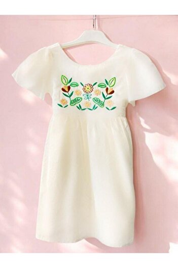 Zekids Girl's Embroidery Detailed Dress