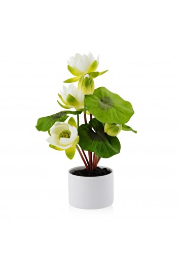 HomeVibes Floare decorativă nenufar