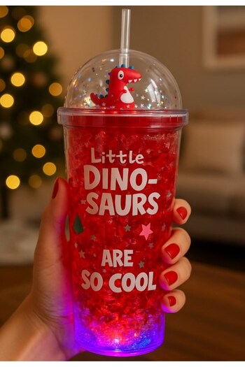 BiTon Toptan Led Lighted Water Bottle Frosted Glass Look with Straw 450 ml Double Layer Mica 2097 Red