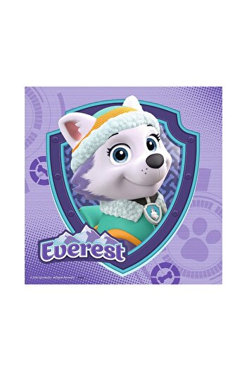 RAVENSBURGER Puzzle - Paw Patrol, 3x49 pieces