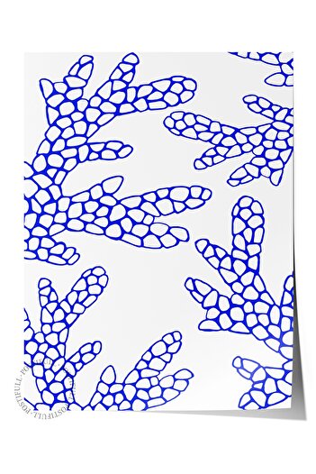 Postifull Frameless Wall Poster, Coral, Pattern, Illustration, Blue, White Color Poster, 2025 Summer Selection, No