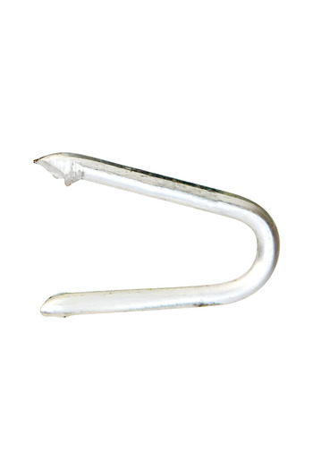 ACE Galvanized Steel Durable Poultry Staples Silver 3/4inch