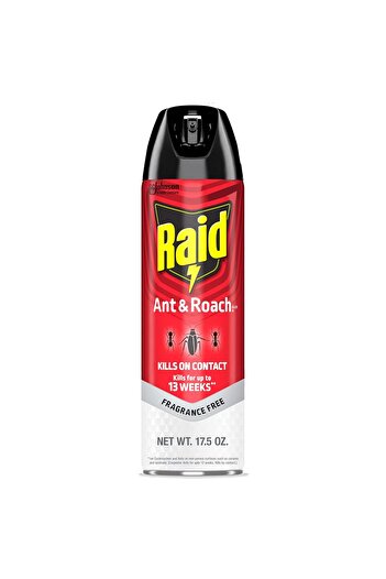 Raid Ant & Roach Aerosol Insect KIller - Unscented, 17.5 Oz