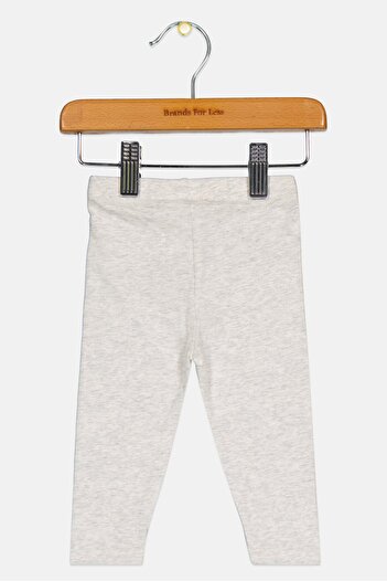 Fox Toddlers Girl Heather Pull On Leggings, Grey