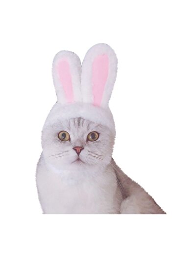 Mixpet 30-34 Cm Cat Dog Hat with Rabbit Ears