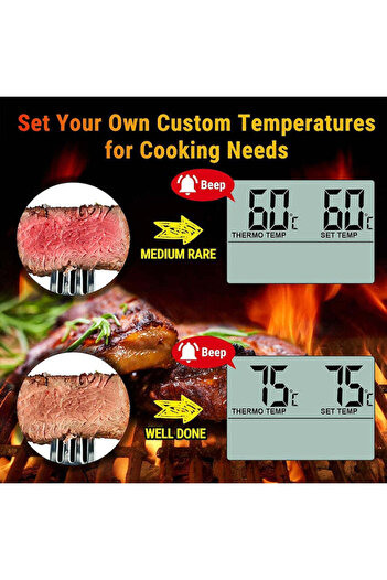 ThermoPro Professional food thermometer ThermoPro TP-14 Pro