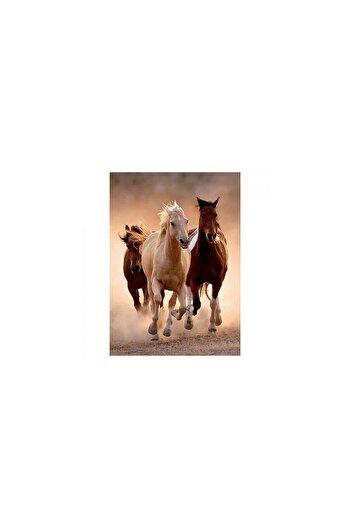 ulupazarlama - 1000 piece hq collection adult puzzle - running horses