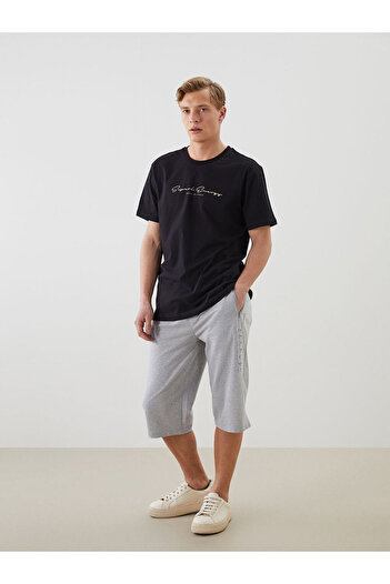 LC Waikiki Quality Parts from Celebi Store |   Standard Fit Men's Shorts