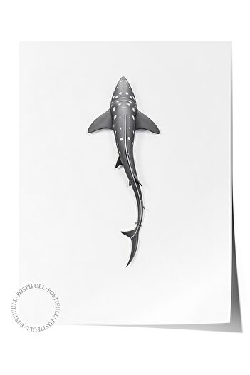 Postifull Frameless Wall Poster, Long Whale, Illustration, Gray Color Poster, 2025 Summer Selection, No:109610