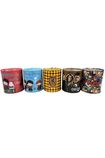 Harry Potter Licensed Medium Size Piggy Bank 15cm X 13.5cm