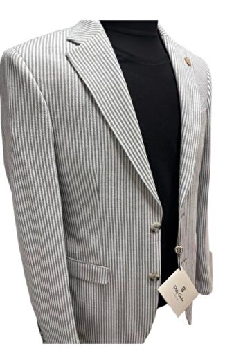 OEM Men's Slim Fit Suit, Philip Guston, Striped Pattern