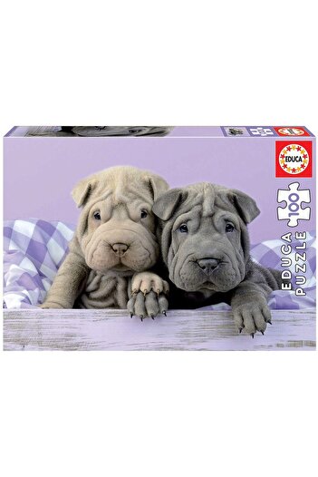 EDUCA Puzzle - Good Morning!, 100 piese