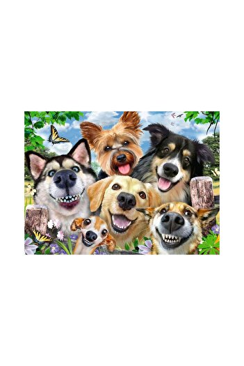 RAVENSBURGER Puzzle - Selfies Dogs' Delight, 500 piese