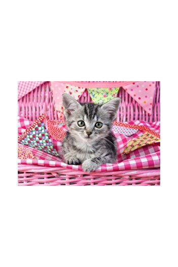 RAVENSBURGER Puzzle 100 pieces - Kitten