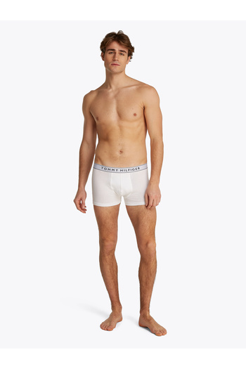 Tommy Hilfiger Tommy Hilfiger Men Multicolored Dtm Trunk Pack of 3