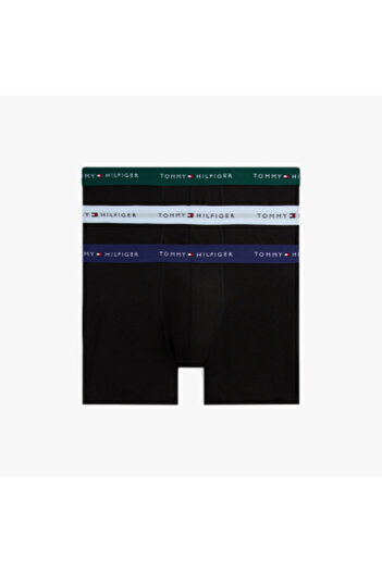 Tommy Hilfiger Tommy Hilfiger Men Multicolored Wb Boxer Brief Pack of 3