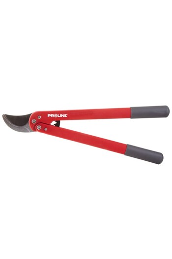PROLINE BRANCHES WITH FIBER HANDLE / 35MM
