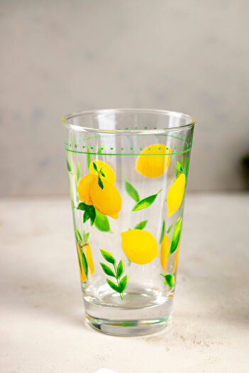 FH finehome Bodrum Set of 4 Soft Drink Glasses 395 Cc