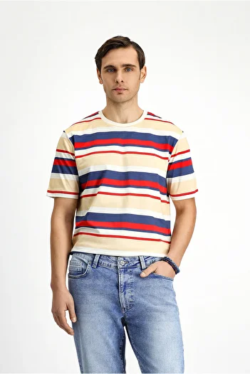 Kiğılı Crew Neck Regular Fit Cotton Striped T-Shirt