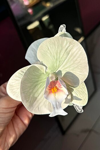TAKIŞTIR Green Color Aloha Orchid Latch Buckle
