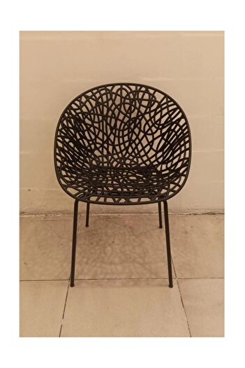 rexa Neiman Modern and Durable Dining Chairs