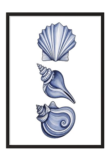 Postifull Black Framed Poster, Seashell, Illustration, Blue Color Poster, 2025 Summer Selection, No:109546