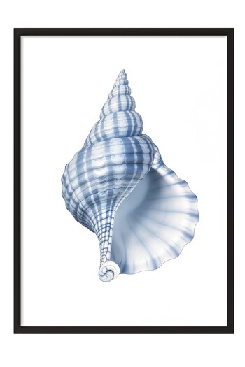 Postifull Black Framed Painting, Blue Seashell, Illustration, Blue Color Poster, 2025 Summer Selection, No:10974