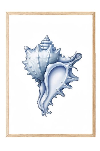 Postifull Wooden Framed Painting, Blue Seashell, Illustration, Blue Color Poster, 2025 Summer Selection, No:10974
