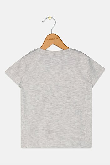 Fox Toddlers Girl Crew Neck Short Sleeve Embroidered Top, Grey