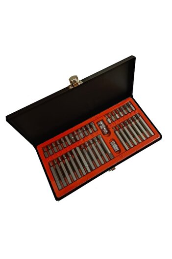 Globalport Retail Trusa profesionala biti torx, hex, spline, 41 Piese, Cr-V