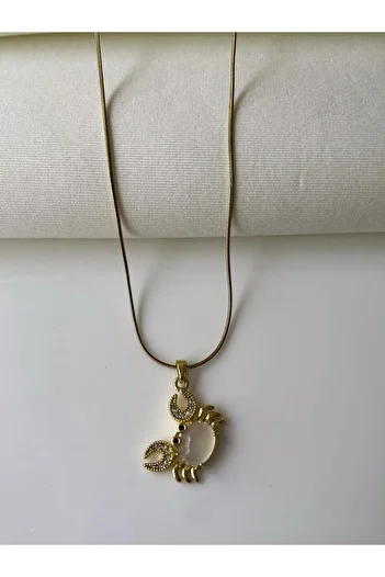Nilsu Jewellery Accessory Steel Zircon Stone Crab Detailed Women's Necklace